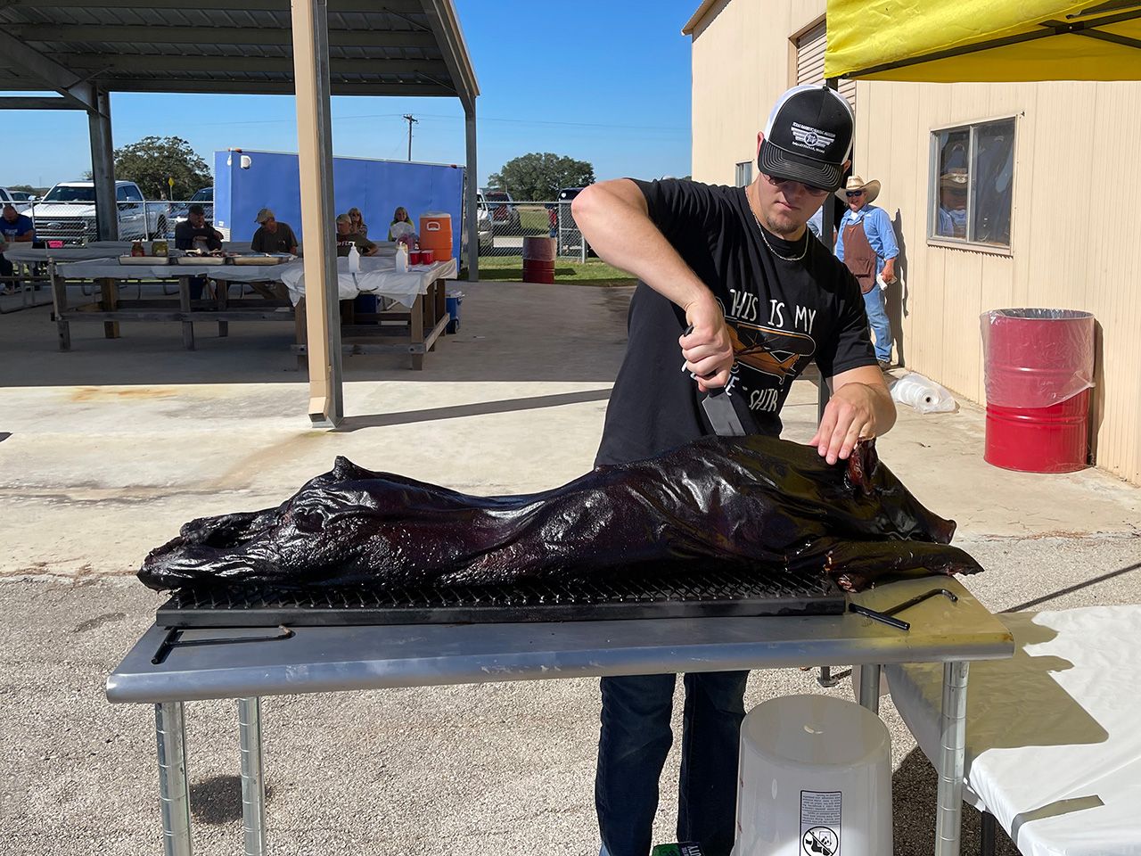 BBQ'd pig being carve by young man. People sitting at picnic tables in background