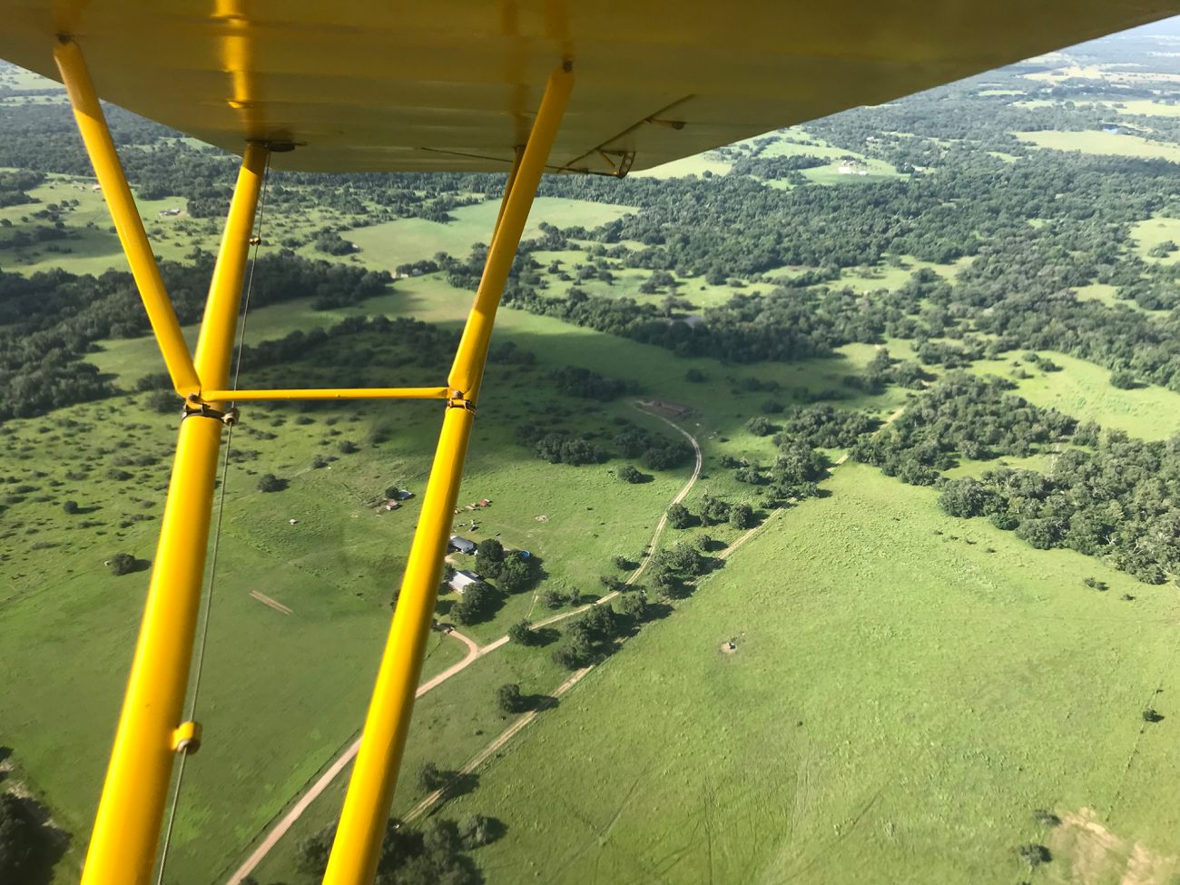 view from flying piper cub of lush green fields